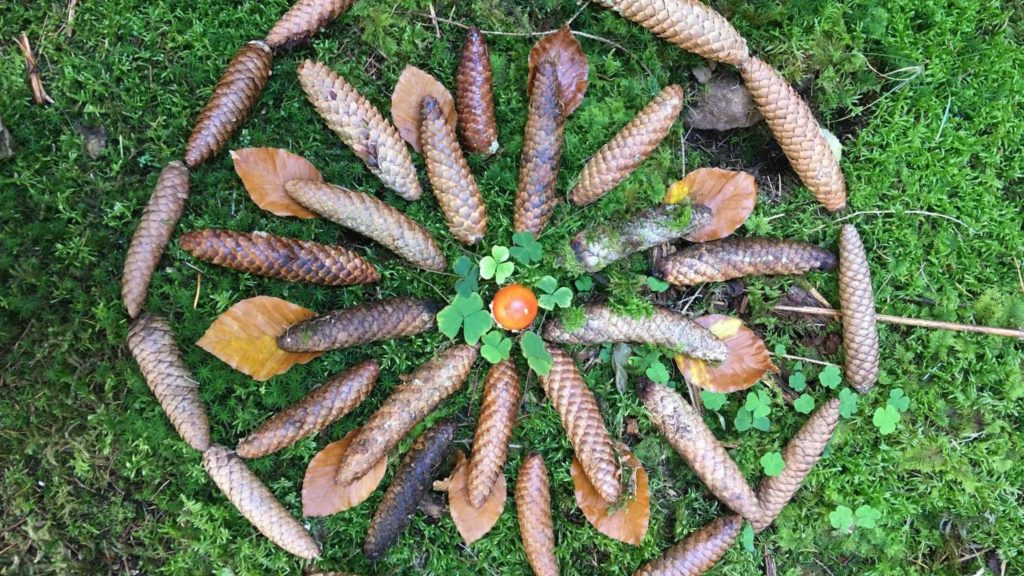 Mandala aus Naturmaterial, Tannenzapfen, Fliegenpilz, Blätter, Mentoring mit Susanne, Wald Auszeit ©Susanne Reinhold