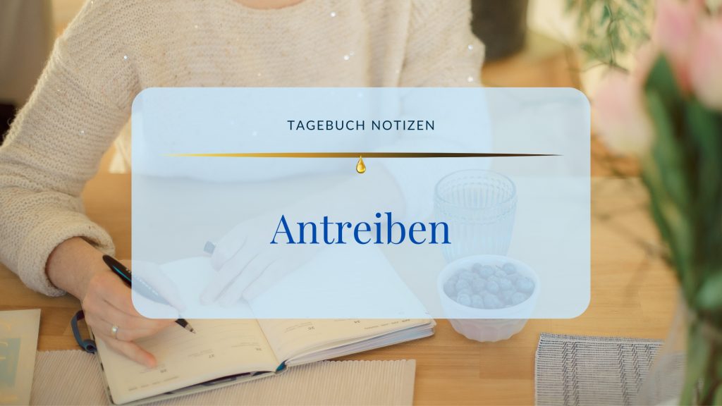 Tagebuch Notizen, Antreiben ©Susanne Reinhold